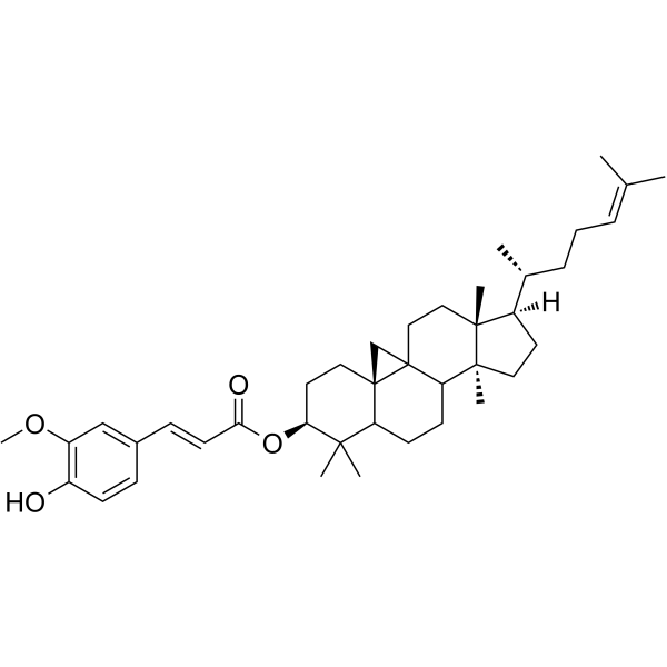 γ-Oryzanol 11042-64-1